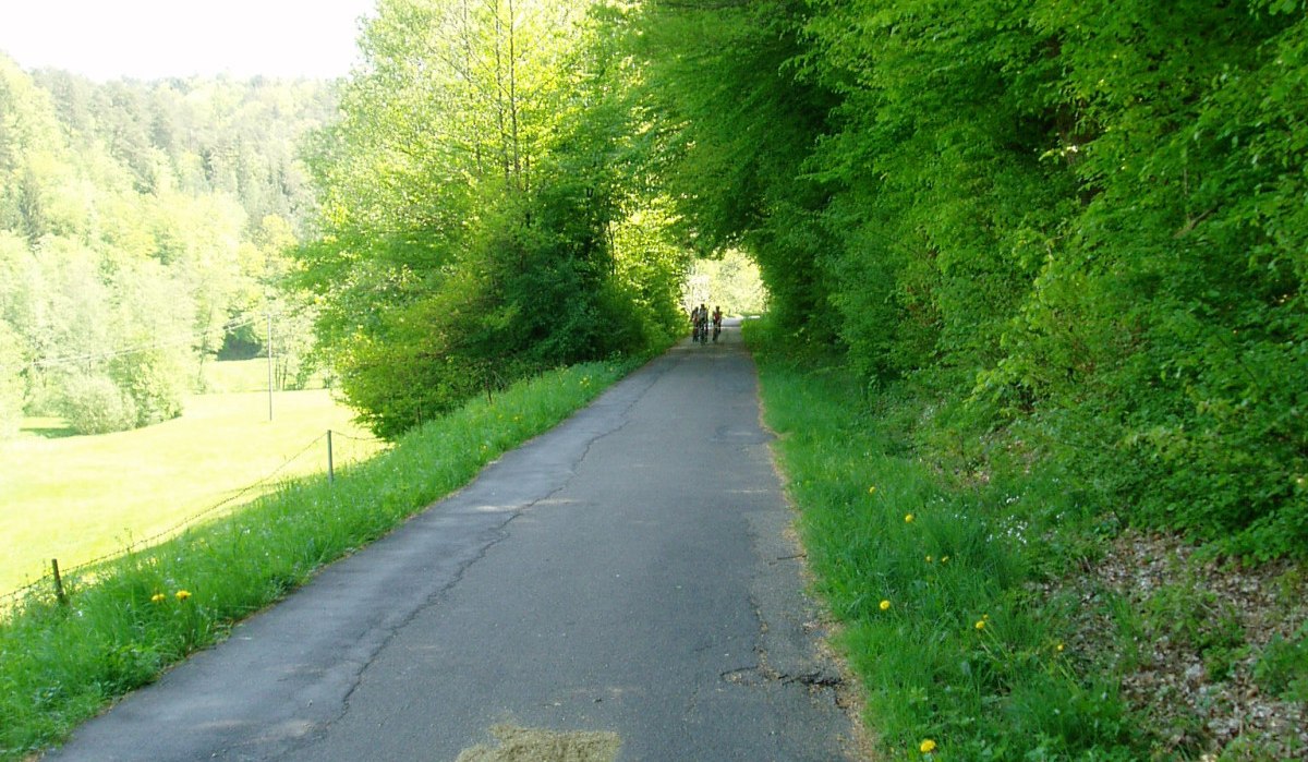 Asphaltierter Weg durch grünen Wald, Bäume auf beiden Seiten, zwei Personen im Hintergrund sichtbar., © Natur.Nah. Schönbuch & Heckengäu Asphaltierter Weg durch grünen Wald, Bäume auf beiden Seiten, zwei Personen im Hintergrund sichtbar., © Natur.Nah. Schönbuch & Heckengäu
