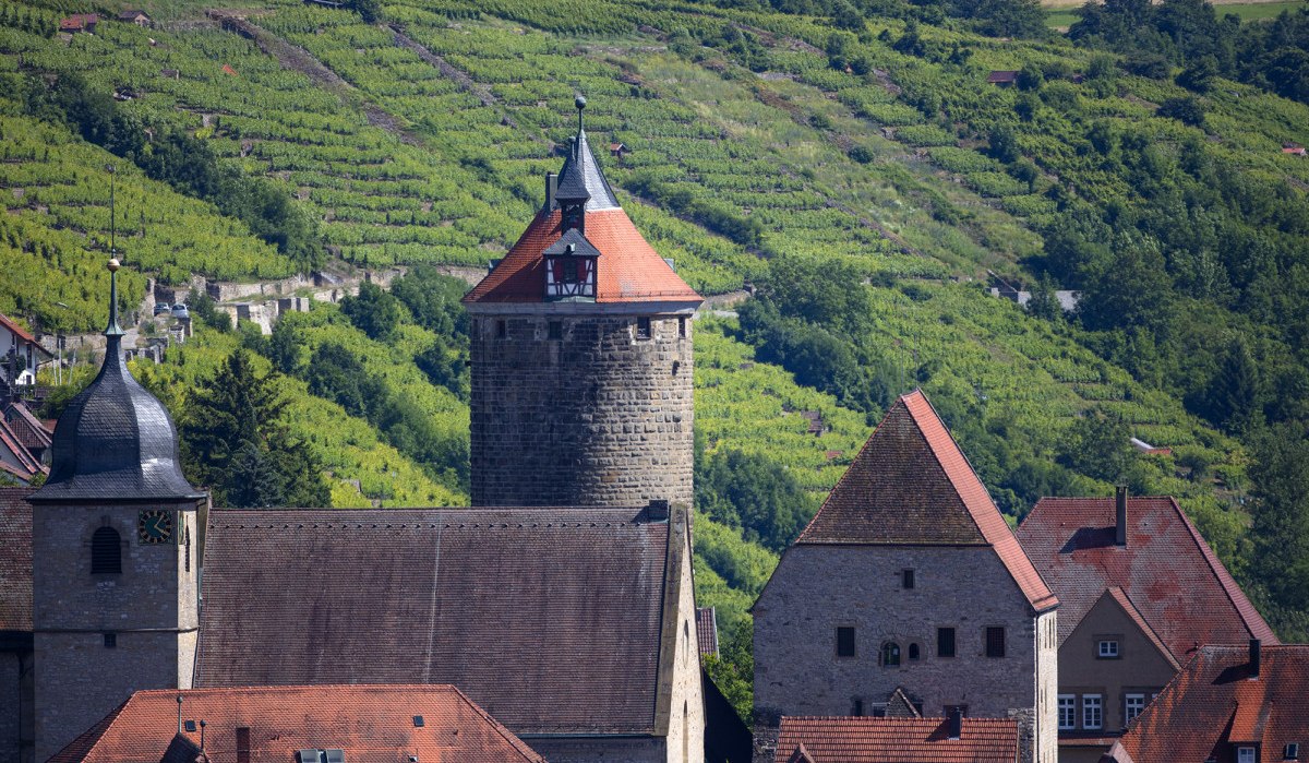 Die obere Burganlage in Besigheim mit einem Turm und Gebäuden, umgeben von grünen Weinbergen., © Achim Mende