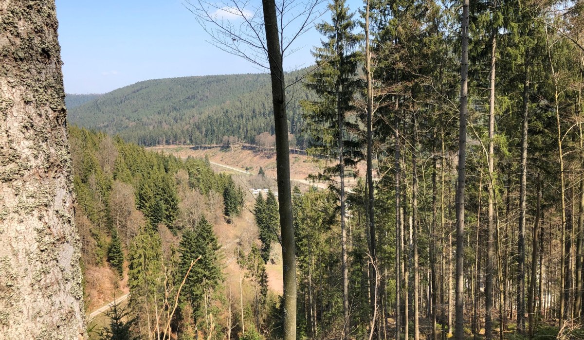 Aussicht auf das Kleinenztal, &copy; N&ouml;rdlicher Schwarzwald