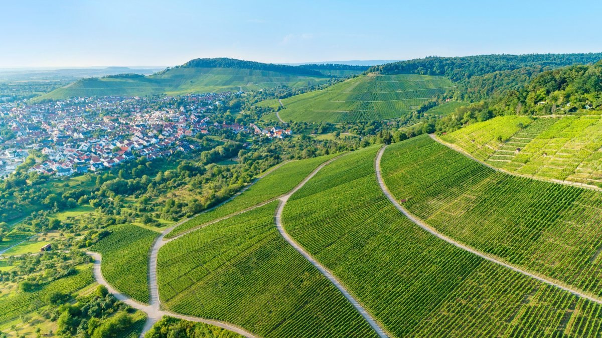 Aussicht 3 K&ouml;pfe, &copy; Gemeinde Korb