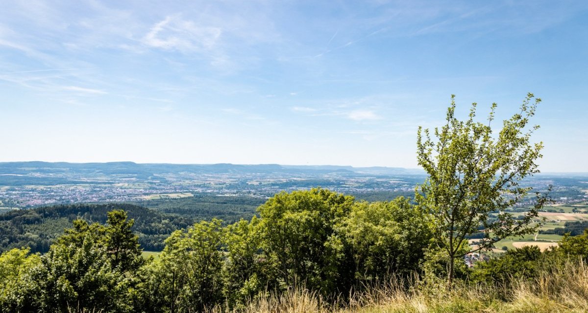 Panoramablick von einem Hügel mit Bäumen im Vordergrund und einer weiten Landschaft im Hintergrund unter blauem Himmel., © Stefan Kuhn Photography Panoramablick von einem Hügel mit Bäumen im Vordergrund und einer weiten Landschaft im Hintergrund unter blauem Himmel., © Stefan Kuhn Photography