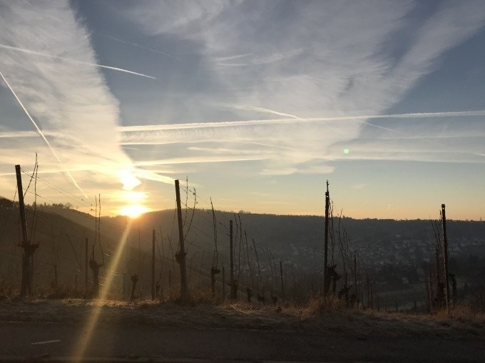Sonnenuntergang &uuml;ber einem winterlichen Weinberg in Stuttgart, kahle Reben und Kondensstreifen am Himmel., &copy; Weingenuss Stuttgart