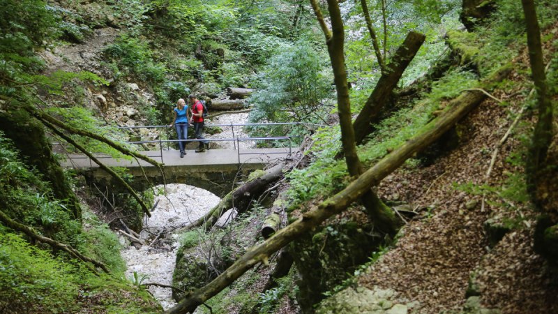 Eine Brücke überquert die Wolfsschlucht, © Bad Urach Tourismus Eine Brücke überquert die Wolfsschlucht, © Bad Urach Tourismus