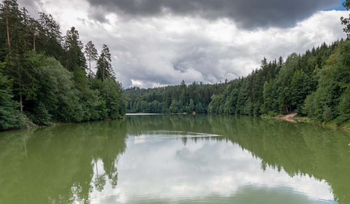 Der Herrenbachstausee in Schorndorf, umgeben von dichtem Wald und reflektiertem Himmel im Wasser. Bewölkter Himmel sorgt für eine ruhige Atmosphäre. Der Herrenbachstausee in Schorndorf, umgeben von dichtem Wald und reflektiertem Himmel im Wasser. Bewölkter Himmel sorgt für eine ruhige Atmosphäre.