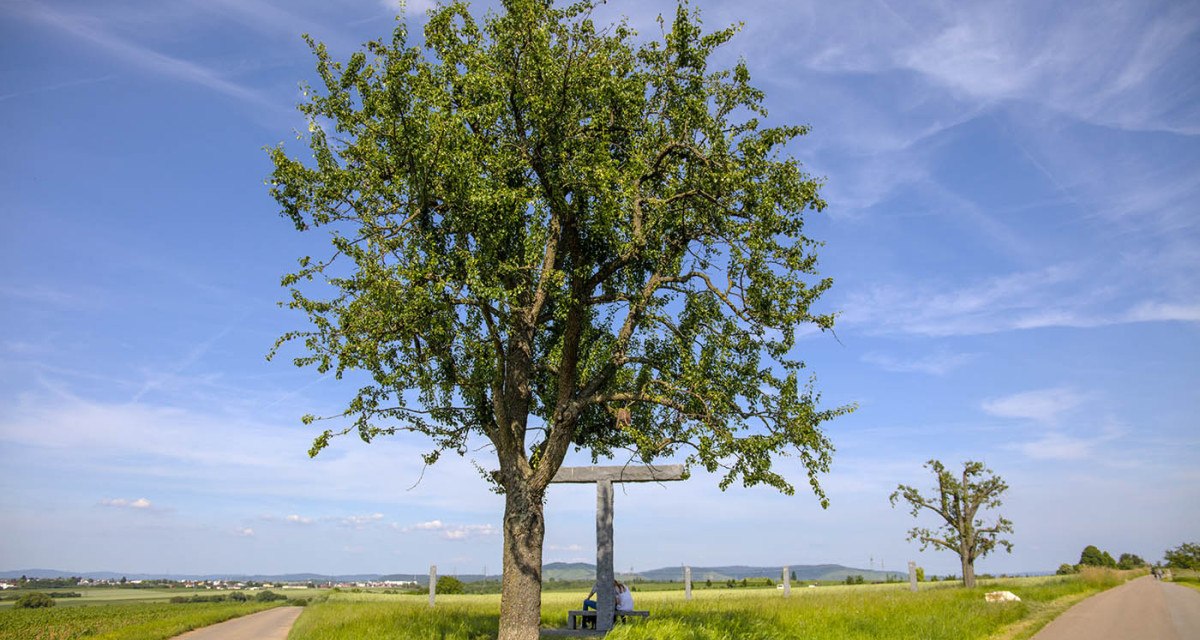 Ein großer Baum steht neben einem Kreuz auf einem Feldweg, umgeben von grünen Feldern und blauem Himmel., © Remstal Tourismus e.V. Ein großer Baum steht neben einem Kreuz auf einem Feldweg, umgeben von grünen Feldern und blauem Himmel., © Remstal Tourismus e.V.