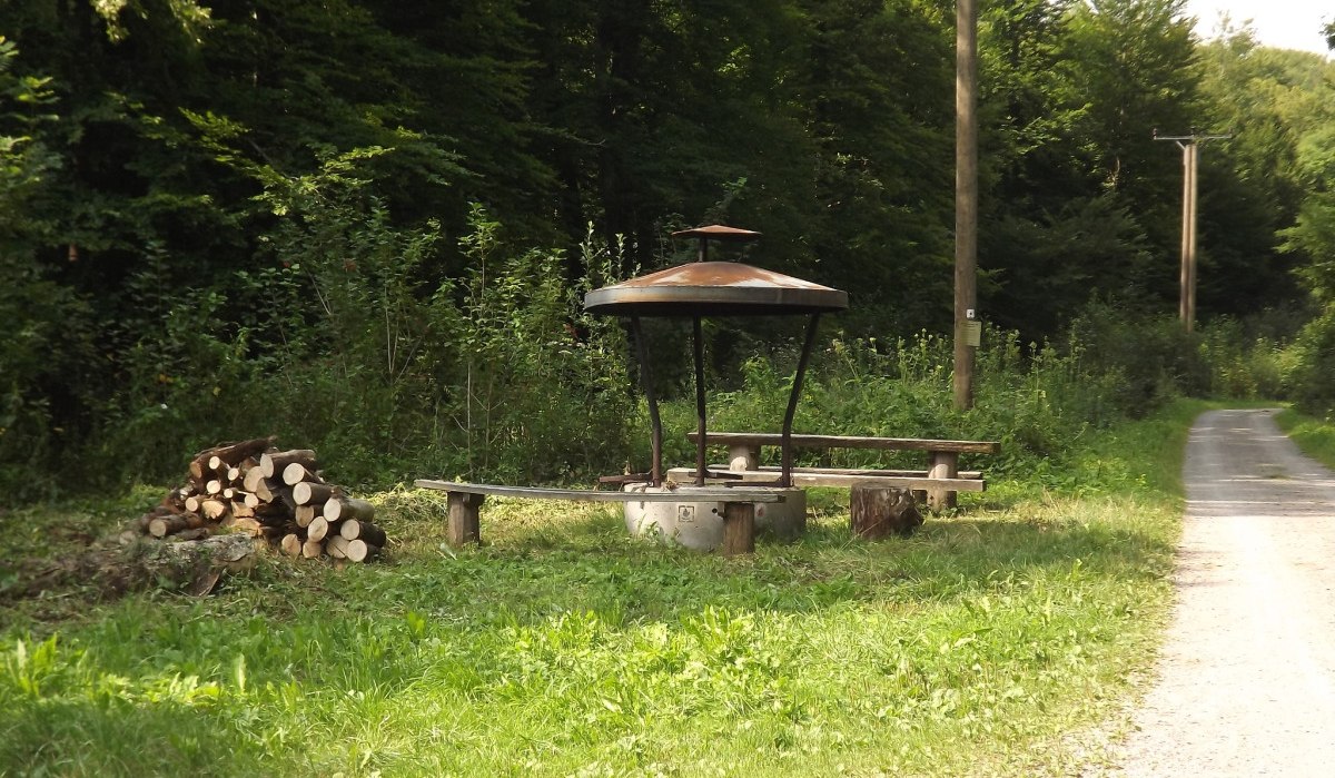 Ein Picknickplatz im Wald mit einer Grillstelle, Bänken und einem Stapel Holz neben einem schmalen Weg., © Natur.Nah. Schönbuch & Heckengäu Ein Picknickplatz im Wald mit einer Grillstelle, Bänken und einem Stapel Holz neben einem schmalen Weg., © Natur.Nah. Schönbuch & Heckengäu