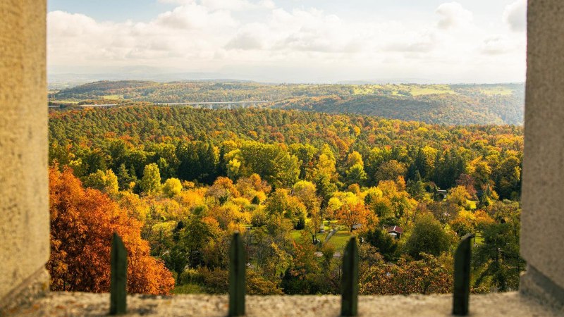 Aussicht vom Uhlbergturm auf eine herbstliche Landschaft mit bunten Bäumen und Hügeln im Hintergrund., © Stuttgart-Marketing GmbH, Sarah Schmid