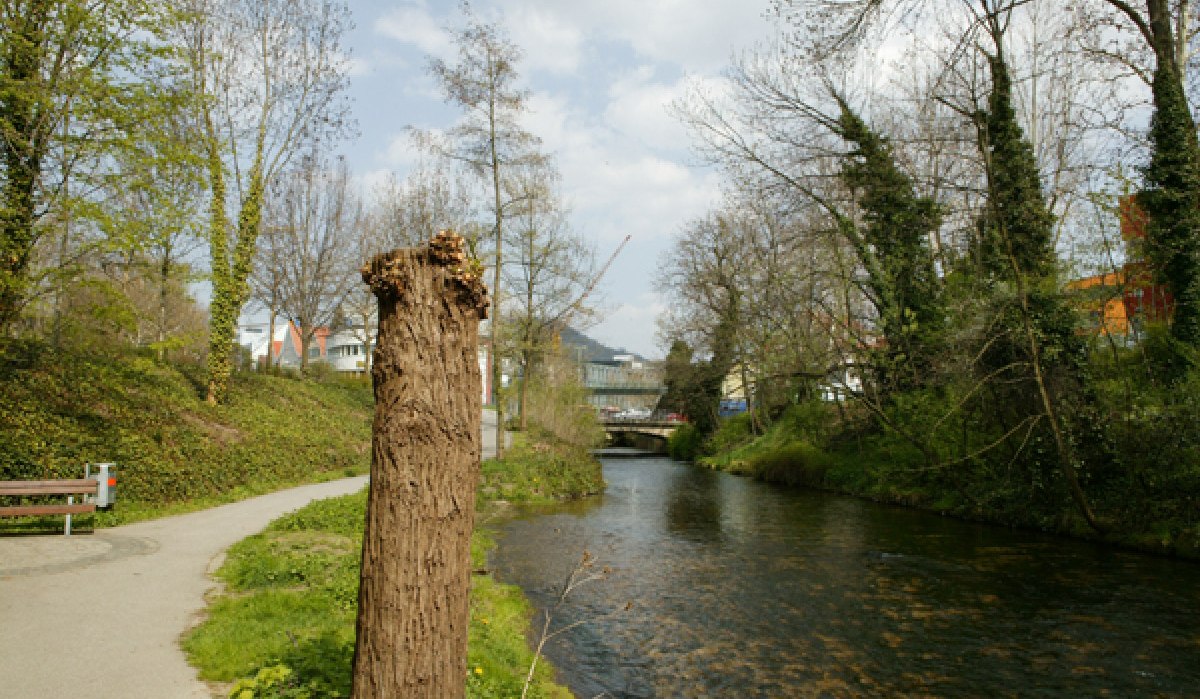 Ein kahler Baumstumpf steht neben einem Gehweg entlang des Flusses Echaz in Reutlingen. Im Hintergrund sind Bäume und Gebäude zu sehen., © Sphäre Verlag