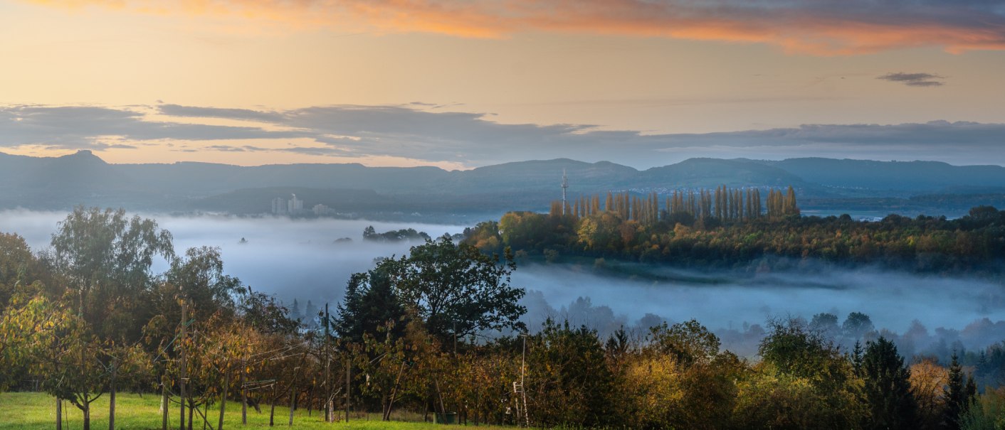 Nebelverhangene Landschaft mit Bäumen und Hügeln im Hintergrund. Der Himmel zeigt sanfte Morgenfarben, während der Nebel über den Feldern liegt., © SMG, Martina Denker