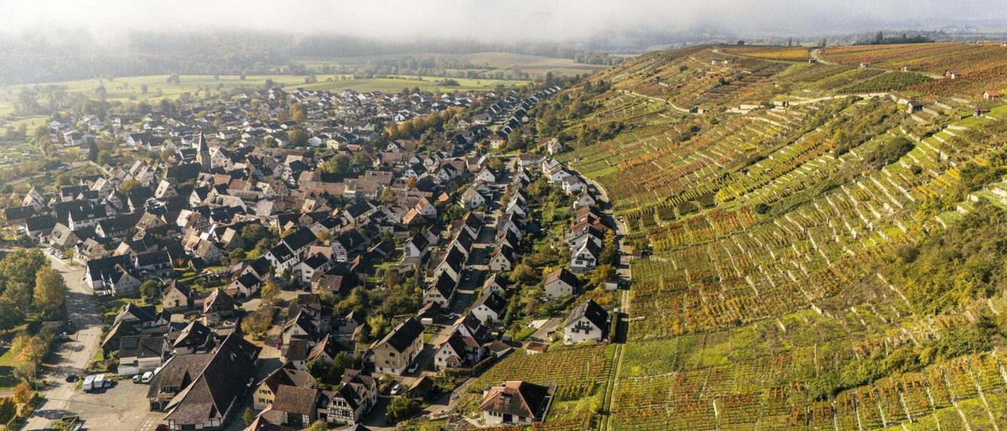 Luftaufnahme von Roßwag, Vaihingen an der Enz. Links ein Dorf mit vielen Häusern, rechts terrassierte Weinberge. Nebel im Hintergrund., © Stuttgart-Marketing GmbH, Sarah Schmid Luftaufnahme von Roßwag, Vaihingen an der Enz. Links ein Dorf mit vielen Häusern, rechts terrassierte Weinberge. Nebel im Hintergrund., © Stuttgart-Marketing GmbH, Sarah Schmid