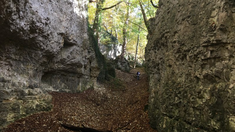 Schmale Schlucht mit steilen Felswänden, bedeckt mit Laub. Ein Wanderer geht durch die Schlucht, umgeben von herbstlichen Bäumen., © Bad Urach Tourismus Schmale Schlucht mit steilen Felswänden, bedeckt mit Laub. Ein Wanderer geht durch die Schlucht, umgeben von herbstlichen Bäumen., © Bad Urach Tourismus