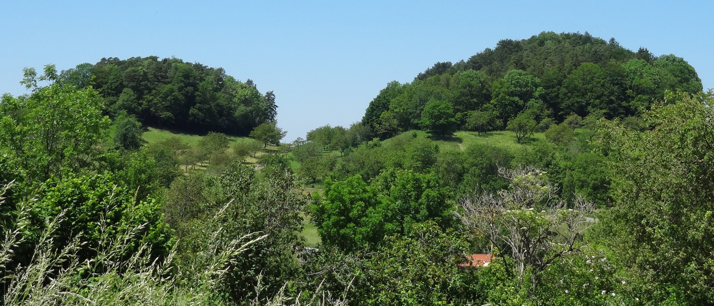 Spitzenberg Beuren, © Kurverwaltung Beuren