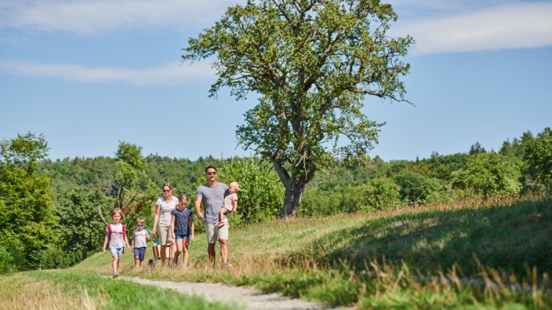 Eine Familie spaziert auf einem Feldweg durch eine grüne Landschaft. Ein großer Baum steht im Hintergrund, der Himmel ist blau mit wenigen Wolken., © Natur.Nah. Schönbuch & Heckengäu