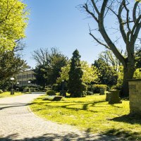 Ein sonniger Park mit grünen Bäumen, Bänken und einem gepflasterten Weg. Im Hintergrund sind Gebäude und Laternen zu sehen., © SMG, Sarah Schmid