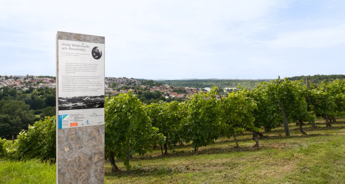 Weinberg mit Infotafel über Ottilie Wildermuth. Im Hintergrund ist eine Stadtlandschaft zu sehen. Der Himmel ist leicht bewölkt., © Marbach - Stuttgart-Marketing GmbH Weinberg mit Infotafel über Ottilie Wildermuth. Im Hintergrund ist eine Stadtlandschaft zu sehen. Der Himmel ist leicht bewölkt., © Marbach - Stuttgart-Marketing GmbH