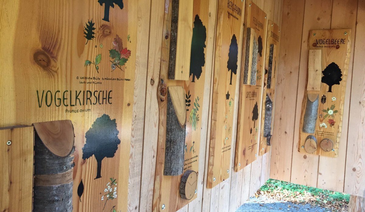 Holztafeln im Waldzentrum zeigen Informationen über Baumarten wie Vogelkirche und Esche. Jede Tafel enthält Illustrationen und Baumrinden., © Stadtmarketing Sindelfingen Holztafeln im Waldzentrum zeigen Informationen über Baumarten wie Vogelkirche und Esche. Jede Tafel enthält Illustrationen und Baumrinden., © Stadtmarketing Sindelfingen