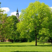 Grüne Wiese mit Bäumen, im Hintergrund ein Kirchturm. Eine Person mit Hund spaziert im Park. Blauer Himmel mit weißen Wolken., © WTM GmbH Fotograf Kai Koepf Grüne Wiese mit Bäumen, im Hintergrund ein Kirchturm. Eine Person mit Hund spaziert im Park. Blauer Himmel mit weißen Wolken., © WTM GmbH Fotograf Kai Koepf