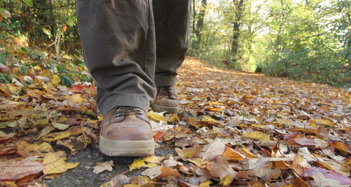 Nahaufnahme von Wanderschuhen auf einem mit bunten Herbstblättern bedeckten Waldweg. Die Umgebung ist grün und herbstlich., © Stadt Schorndorf