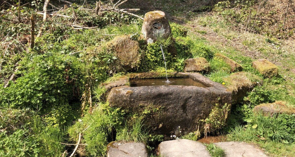 Steinerner Brunnen im Wald mit fließendem Wasser, umgeben von grüner Vegetation und Moos., © Nördlicher Schwarzwald Steinerner Brunnen im Wald mit fließendem Wasser, umgeben von grüner Vegetation und Moos., © Nördlicher Schwarzwald