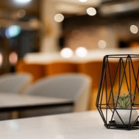 Geometrisches Tischdekor mit Pflanze in modernem Ambiente, unscharfer Hintergrund mit warmen Farben., © GINN Apartments Esslingen Geometrisches Tischdekor mit Pflanze in modernem Ambiente, unscharfer Hintergrund mit warmen Farben., © GINN Apartments Esslingen