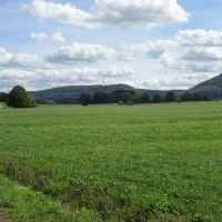 Weite grüne Wiese mit sanften Hügeln im Hintergrund. Der Himmel ist mit weißen Wolken bedeckt, ein Weg führt durch die Landschaft., © Foto: Cornelia Steinbach