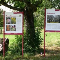 Dornhau Lehrpfad Beschilderung, &copy; Gemeinde Korb