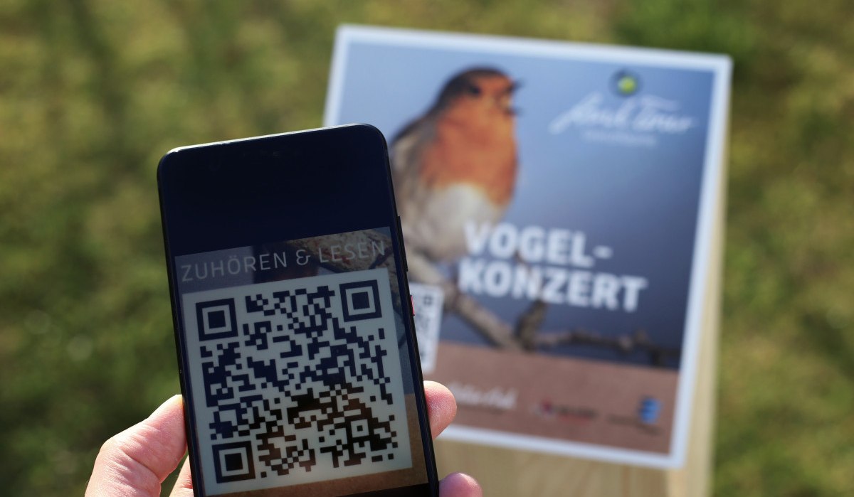 Ein Smartphone scannt einen QR-Code vor einem Schild mit der Aufschrift 'Vogelkonzert'. Im Hintergrund ist ein Vogel abgebildet. Ein Smartphone scannt einen QR-Code vor einem Schild mit der Aufschrift 'Vogelkonzert'. Im Hintergrund ist ein Vogel abgebildet.