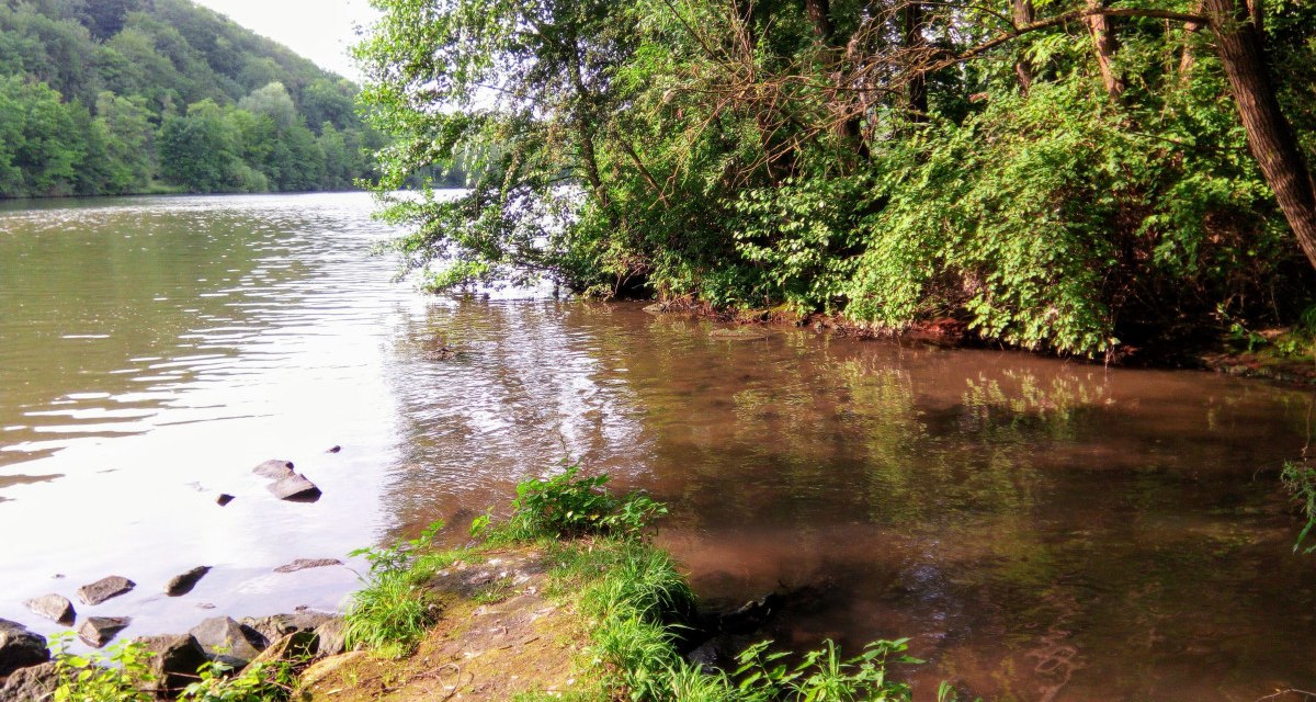 Mündung des Zipfelbachs in einen größeren Fluss, umgeben von Bäumen und grüner Vegetation., © Hans Suckowski Mündung des Zipfelbachs in einen größeren Fluss, umgeben von Bäumen und grüner Vegetation., © Hans Suckowski