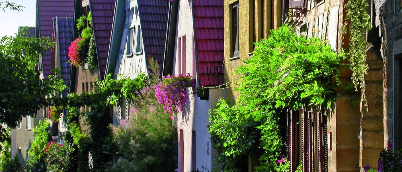 Reihe von Fachwerkhäusern in Marbach am Neckar, geschmückt mit üppigen, blühenden Pflanzen und bunten Dächern., © Dieter Sukowski Reihe von Fachwerkhäusern in Marbach am Neckar, geschmückt mit üppigen, blühenden Pflanzen und bunten Dächern., © Dieter Sukowski