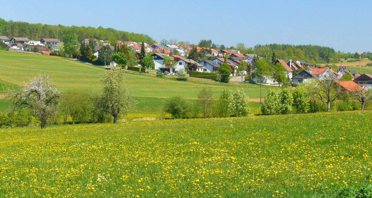 Blühende Wiese mit gelben Blumen, Bäume und ein Dorf im Hintergrund unter klarem, blauem Himmel., © Natur.Nah. Schönbuch & Heckengäu Blühende Wiese mit gelben Blumen, Bäume und ein Dorf im Hintergrund unter klarem, blauem Himmel., © Natur.Nah. Schönbuch & Heckengäu