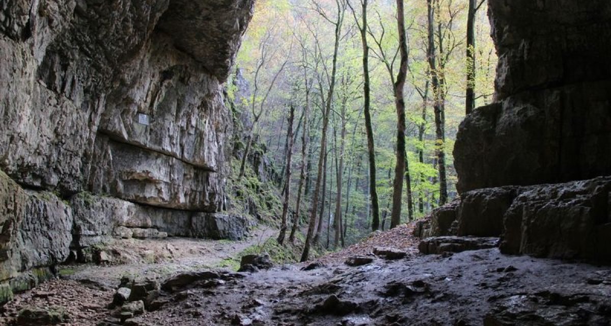 Blick aus der Falkensteiner Höhle nach draußen, © Bad Urach Tourismus Blick aus der Falkensteiner Höhle nach draußen, © Bad Urach Tourismus