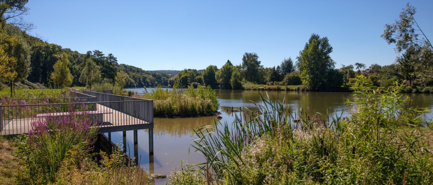 Ein ruhiger Fluss mit einer Holzplattform und üppiger Vegetation im Vordergrund, umgeben von Bäumen unter einem klaren blauen Himmel., © SMG, Achim Mende Ein ruhiger Fluss mit einer Holzplattform und üppiger Vegetation im Vordergrund, umgeben von Bäumen unter einem klaren blauen Himmel., © SMG, Achim Mende