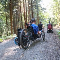 Drei Personen in Rollstühlen fahren auf einem sonnigen Waldweg. Die Umgebung ist dicht bewaldet und grün., © Naturpark Schwäbisch Fränkischer WAld Drei Personen in Rollstühlen fahren auf einem sonnigen Waldweg. Die Umgebung ist dicht bewaldet und grün., © Naturpark Schwäbisch Fränkischer WAld