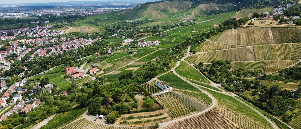 Weinberge erstrecken sich über sanfte Hügel, umgeben von Wohnhäusern und grüner Landschaft. Im Hintergrund sind weitere Hügel zu sehen., © Weingut Schwarz Weinberge erstrecken sich über sanfte Hügel, umgeben von Wohnhäusern und grüner Landschaft. Im Hintergrund sind weitere Hügel zu sehen., © Weingut Schwarz