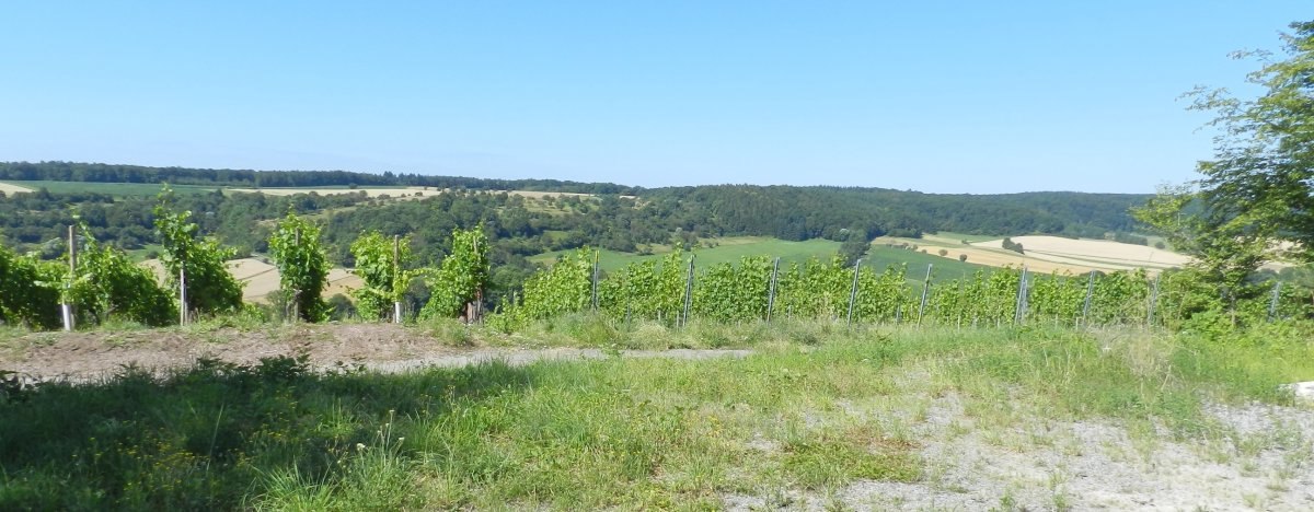 &copy; Stadt Sachsenheim