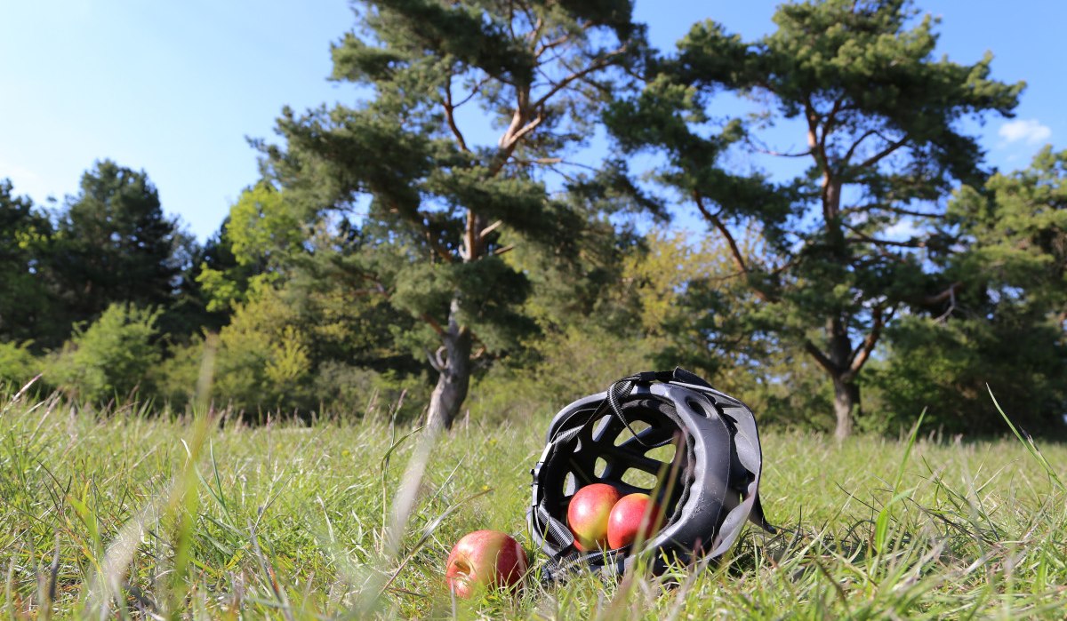 Fahrradhelm mit Äpfeln auf einer Wiese, umgeben von Bäumen und blauem Himmel., © Natur.Nah. Schönbuch & Heckengäu Fahrradhelm mit Äpfeln auf einer Wiese, umgeben von Bäumen und blauem Himmel., © Natur.Nah. Schönbuch & Heckengäu