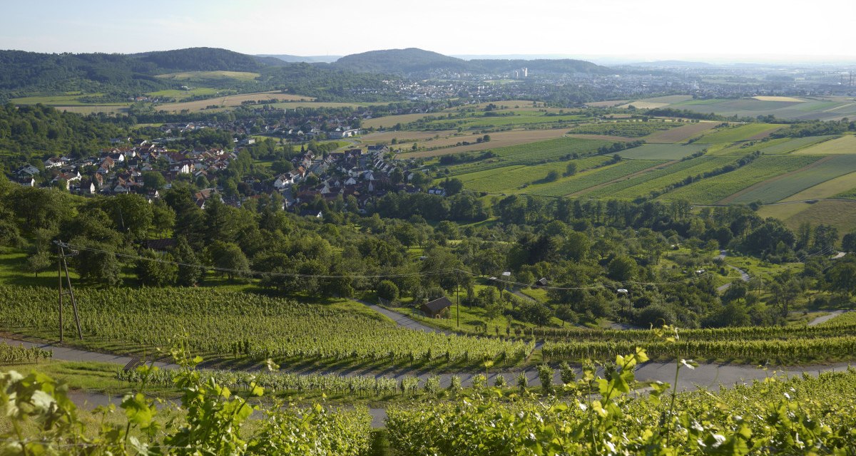 Weinberge im Vordergrund mit Blick auf eine Stadt und umliegende Felder unter klarem Himmel., © Winnenden - Stuttgart-Marketing GmbH Weinberge im Vordergrund mit Blick auf eine Stadt und umliegende Felder unter klarem Himmel., © Winnenden - Stuttgart-Marketing GmbH