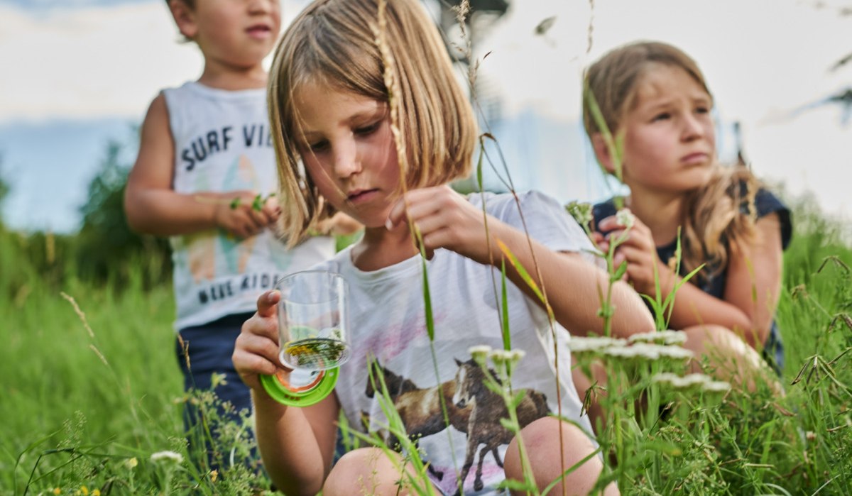 Drei Kinder sitzen im Gras. Eines hält ein Glas mit Insekten. Sie wirken konzentriert und neugierig., © Natur.Nah. Schönbuch & Heckengäu Drei Kinder sitzen im Gras. Eines hält ein Glas mit Insekten. Sie wirken konzentriert und neugierig., © Natur.Nah. Schönbuch & Heckengäu