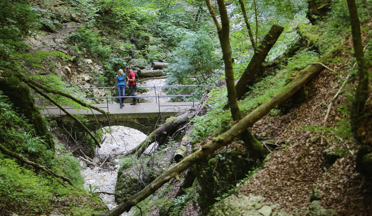 Wanderer stehen auf der Brücke, © Bad Urach Tourismus