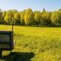 Eine Bank auf einer grünen Wiese mit Blick auf einen dichten Wald in der Talaue Waiblingen. Sonniges Wetter und blauer Himmel., © Stuttgart-Marketing GmbH, Sarah Schmid Eine Bank auf einer grünen Wiese mit Blick auf einen dichten Wald in der Talaue Waiblingen. Sonniges Wetter und blauer Himmel., © Stuttgart-Marketing GmbH, Sarah Schmid