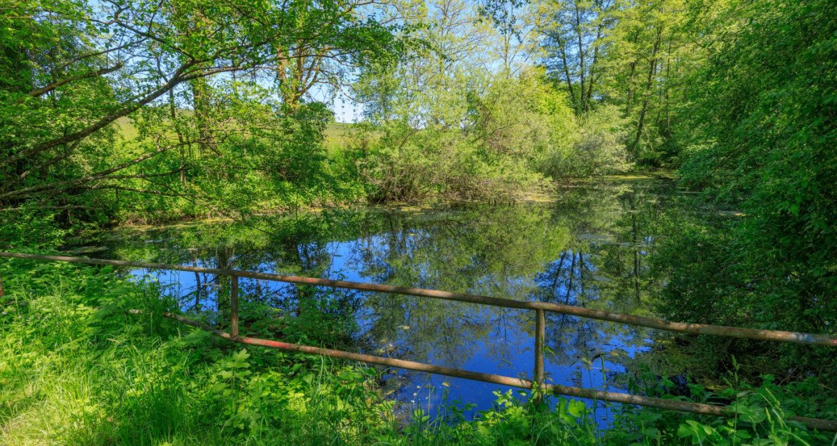 Blaubeerweg - F2 - Wanderweg:Örtlicher Wanderweg mit Start in Murrhardt, © All rights reserved to Stefan Bossow Pixxel-Art Photography Blaubeerweg - F2 - Wanderweg:Örtlicher Wanderweg mit Start in Murrhardt, © All rights reserved to Stefan Bossow Pixxel-Art Photography
