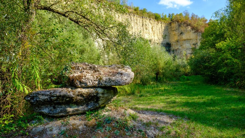 Ein grüner Steinbruch mit üppiger Vegetation, Felsen und Bäumen unter einem klaren blauen Himmel. Ein grüner Steinbruch mit üppiger Vegetation, Felsen und Bäumen unter einem klaren blauen Himmel.