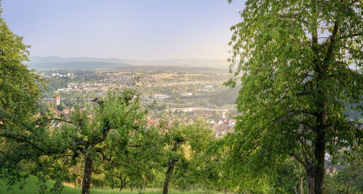 Ausblick von den Plochinger Streuobstwiesen, © Martina Denker Ausblick von den Plochinger Streuobstwiesen, © Martina Denker