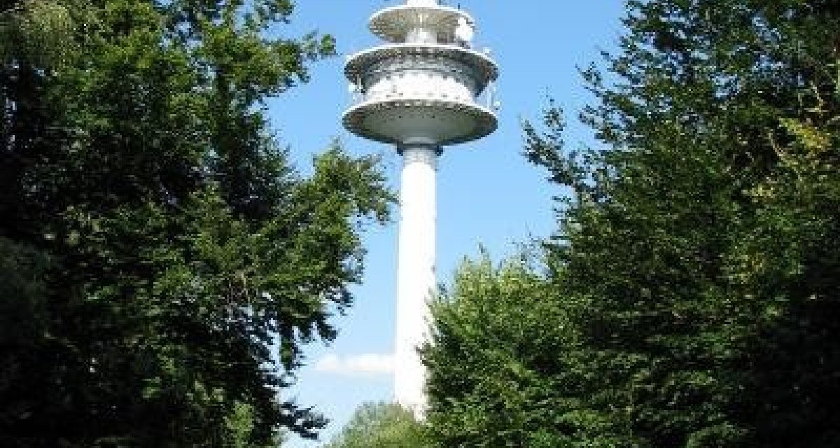Ein Fernsehturm ragt über einen Waldweg, umgeben von Bäumen, in den blauen Himmel., © Natur.Nah. Schönbuch & Heckengäu Ein Fernsehturm ragt über einen Waldweg, umgeben von Bäumen, in den blauen Himmel., © Natur.Nah. Schönbuch & Heckengäu