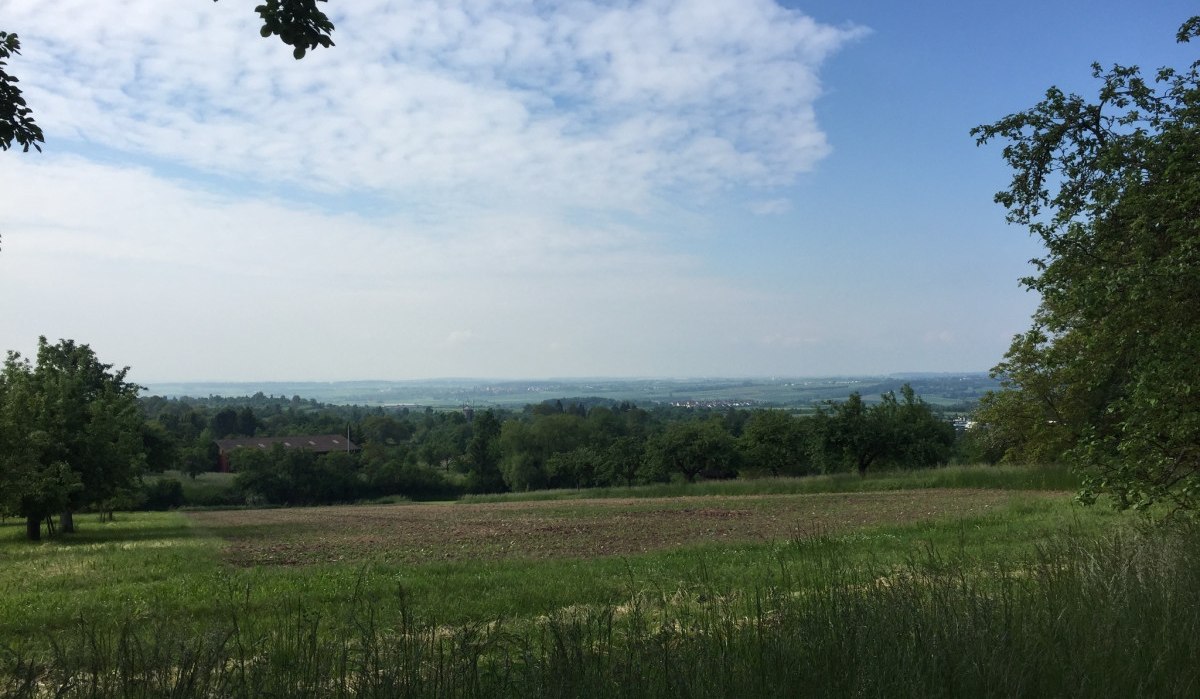 Blick über eine grüne Wiese mit Bäumen im Vordergrund und einem weiten Himmel mit Wolken im Hintergrund., © www.pro-cycl.de Blick über eine grüne Wiese mit Bäumen im Vordergrund und einem weiten Himmel mit Wolken im Hintergrund., © www.pro-cycl.de