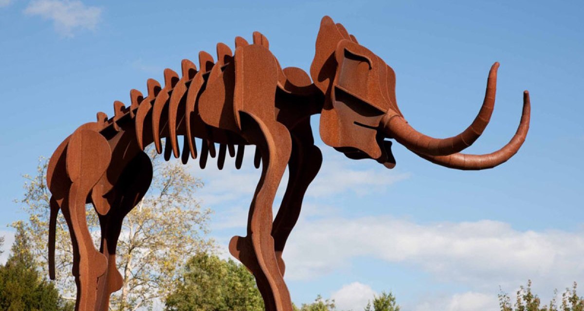 Lebensgroße Mammutskulptur aus rostfarbenem Metall im Freien, umgeben von Bäumen und blauem Himmel., © Hohenlohe + Schwäbisch Hall Tourismus e.V. Lebensgroße Mammutskulptur aus rostfarbenem Metall im Freien, umgeben von Bäumen und blauem Himmel., © Hohenlohe + Schwäbisch Hall Tourismus e.V.