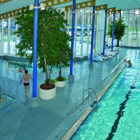 Ein Hallenbad mit mehreren Schwimmbecken, Liegestühlen und großen Fenstern. Menschen schwimmen und entspannen. Pflanzen dekorieren den Raum., © Stuttgart-Marketing GmbH