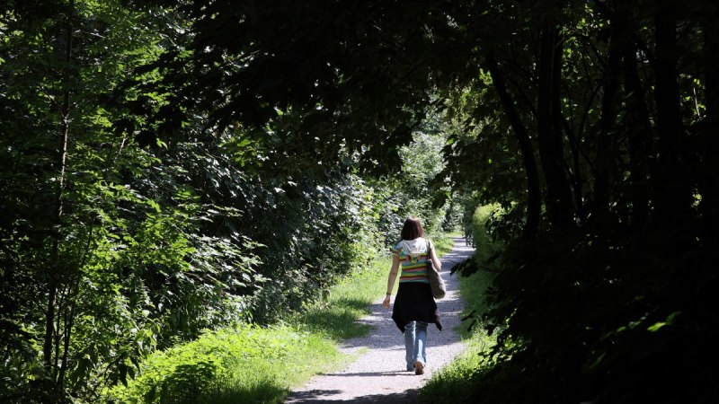Eine Person spaziert auf einem schattigen Waldweg, umgeben von dichtem Laub und Sonnenlicht, das durch die Bäume fällt., © Remstal Tourismus e.V.