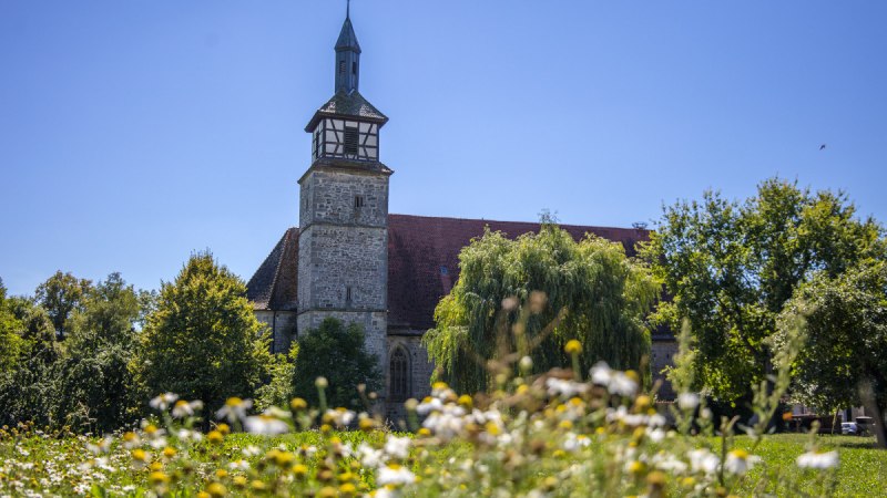 Kirchturm des Hofgut Mauren, umgeben von grünen Bäumen und einer blühenden Wiese unter klarem, blauem Himmel., © Region Stuttgart Kirchturm des Hofgut Mauren, umgeben von grünen Bäumen und einer blühenden Wiese unter klarem, blauem Himmel., © Region Stuttgart