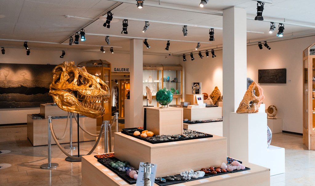 Ein Shop mit Fossilien, Mineralien und Kunstobjekten. Ein großer Dinosaurierschädel und bunte Steine sind ausgestellt., © Tobias Tropper